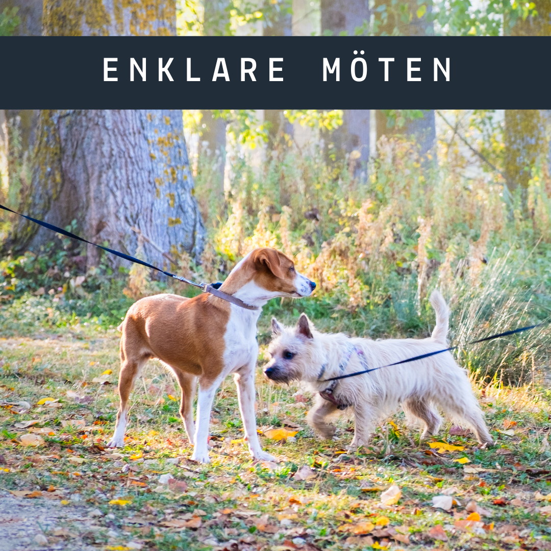 Enklare möten